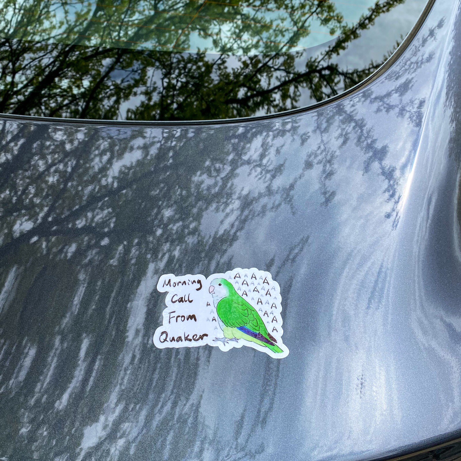CAR Sticker Green Quaker Parrot Monk Parrot Outdoor use/UV & Water Proof