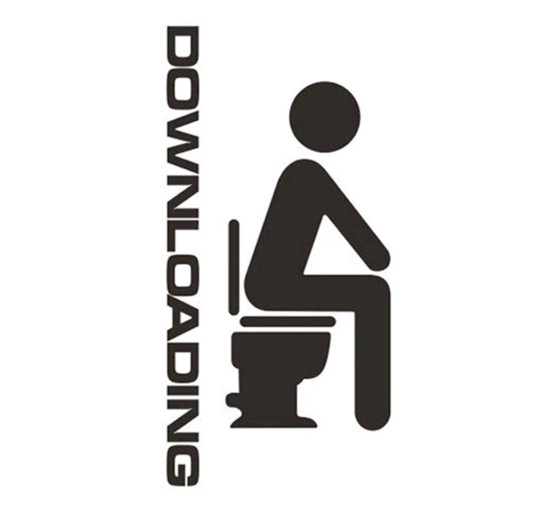 DOWNLOADING Toilet vinyl removeable decal sticker bathroom