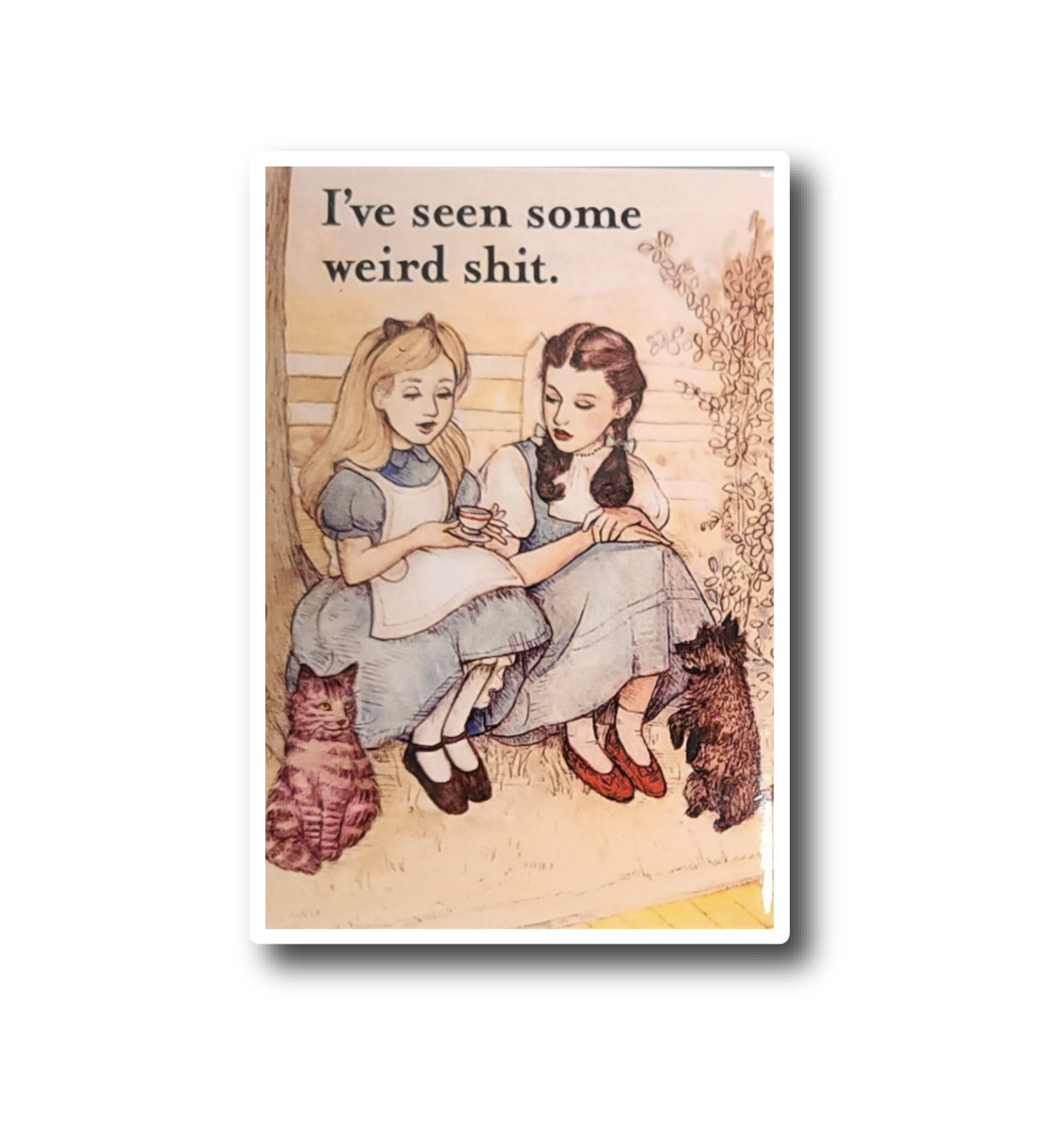 I've Seen Some Weird Shlt Funny Alice Dorothy Wonderland Custom Vinyl Decal JDM