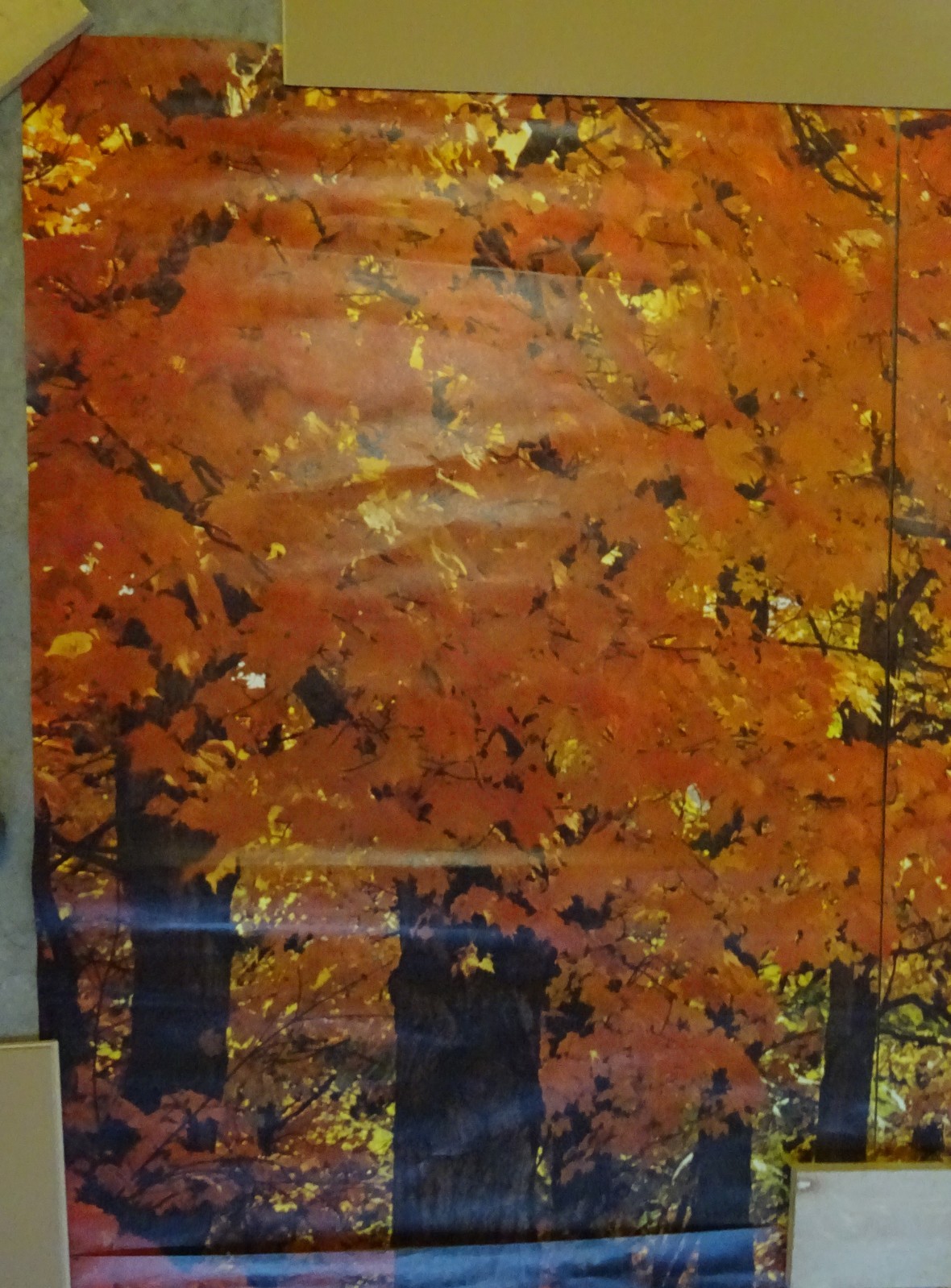 Full Wall Photo Mural Colorful Autumn Leaves Forest Path Tree 8’ 8” x 12’ 6” NOS