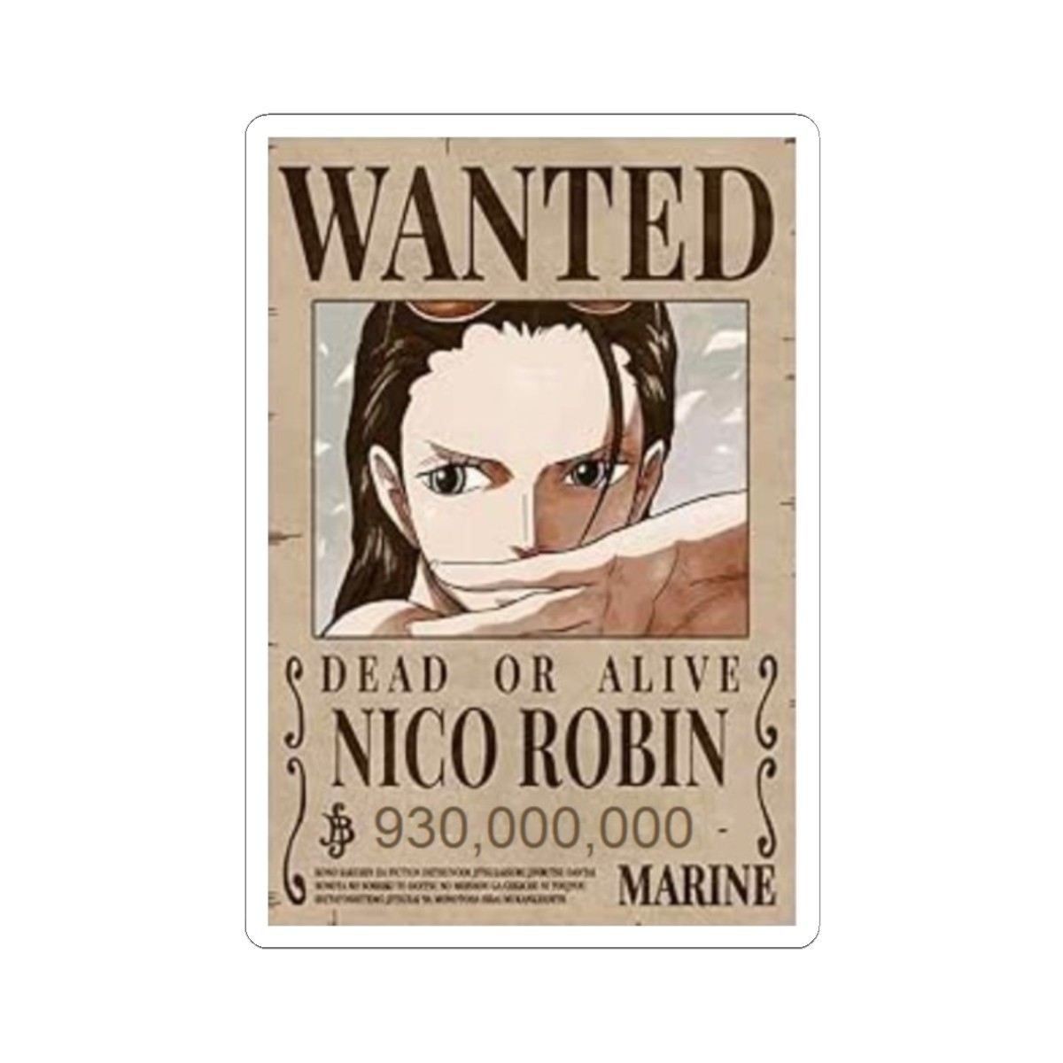 Autocollant Robin – Avis de Recherche 📜Robin Sticker – Wanted Poster 📜