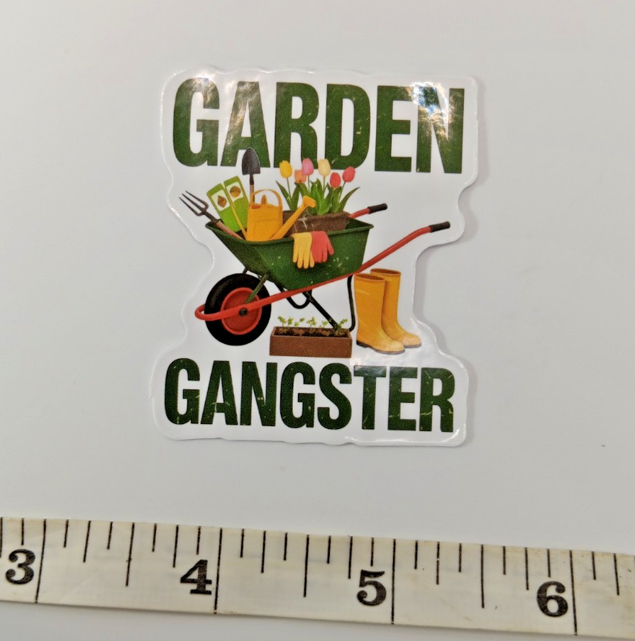Plants-Succulent-Funny-Gangster Vinyl Sticker-Decal-NWOT-Free Shipping!