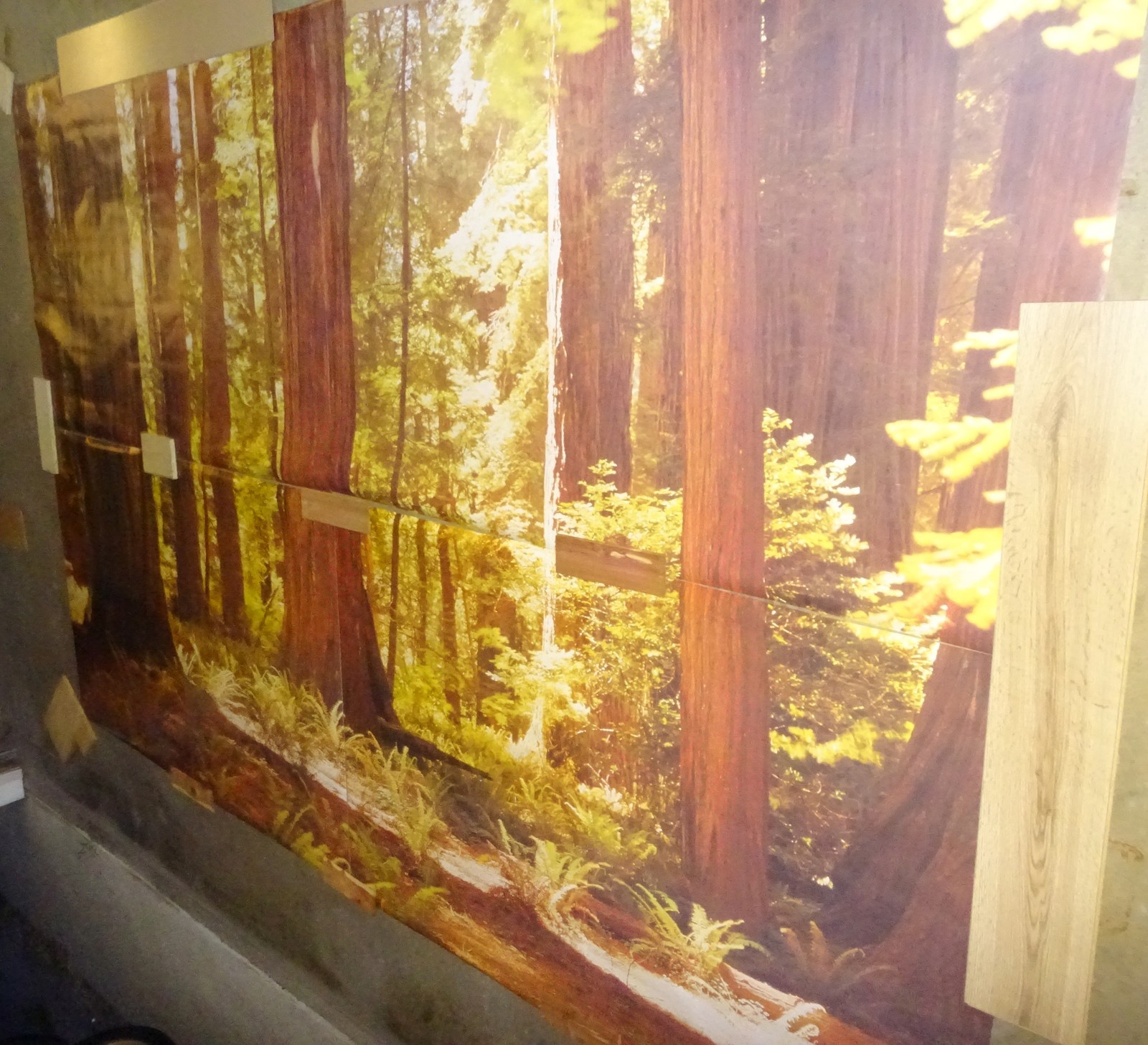 Full Wall Photo Mural Josef Muench Forest Woodland Trees Sun 8’ 8” x 12’ 6” NOS