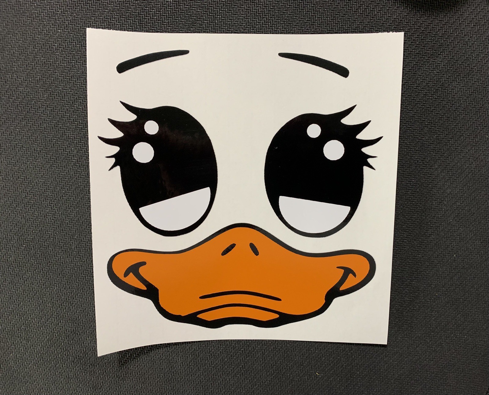 Duck Face decal sticker for DIY glass block