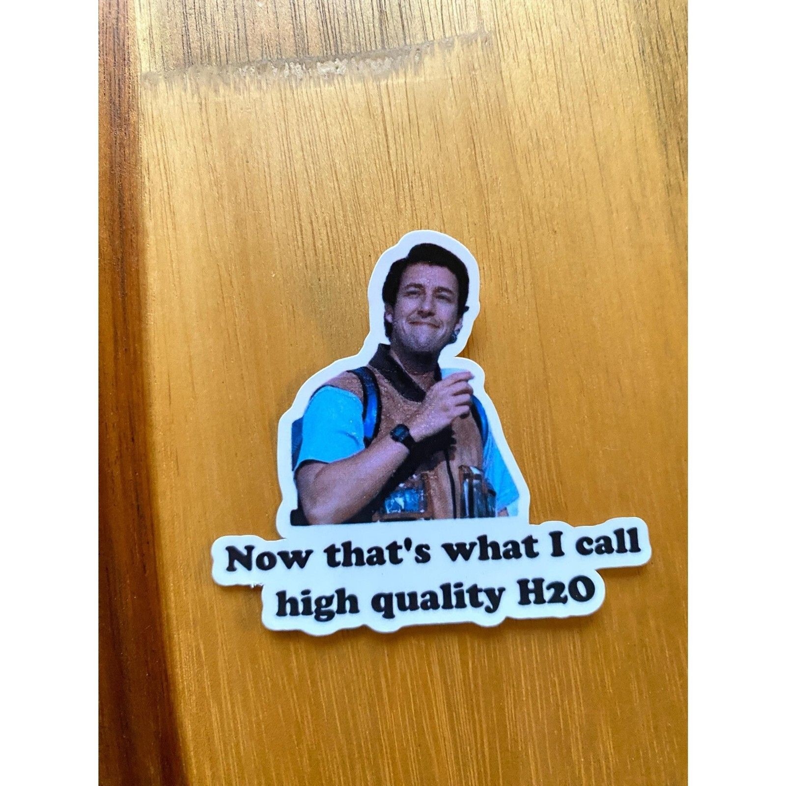 High Quality H2O Waterboy VINYL STICKER Bobby Boucher Movie Inspired Set of 6