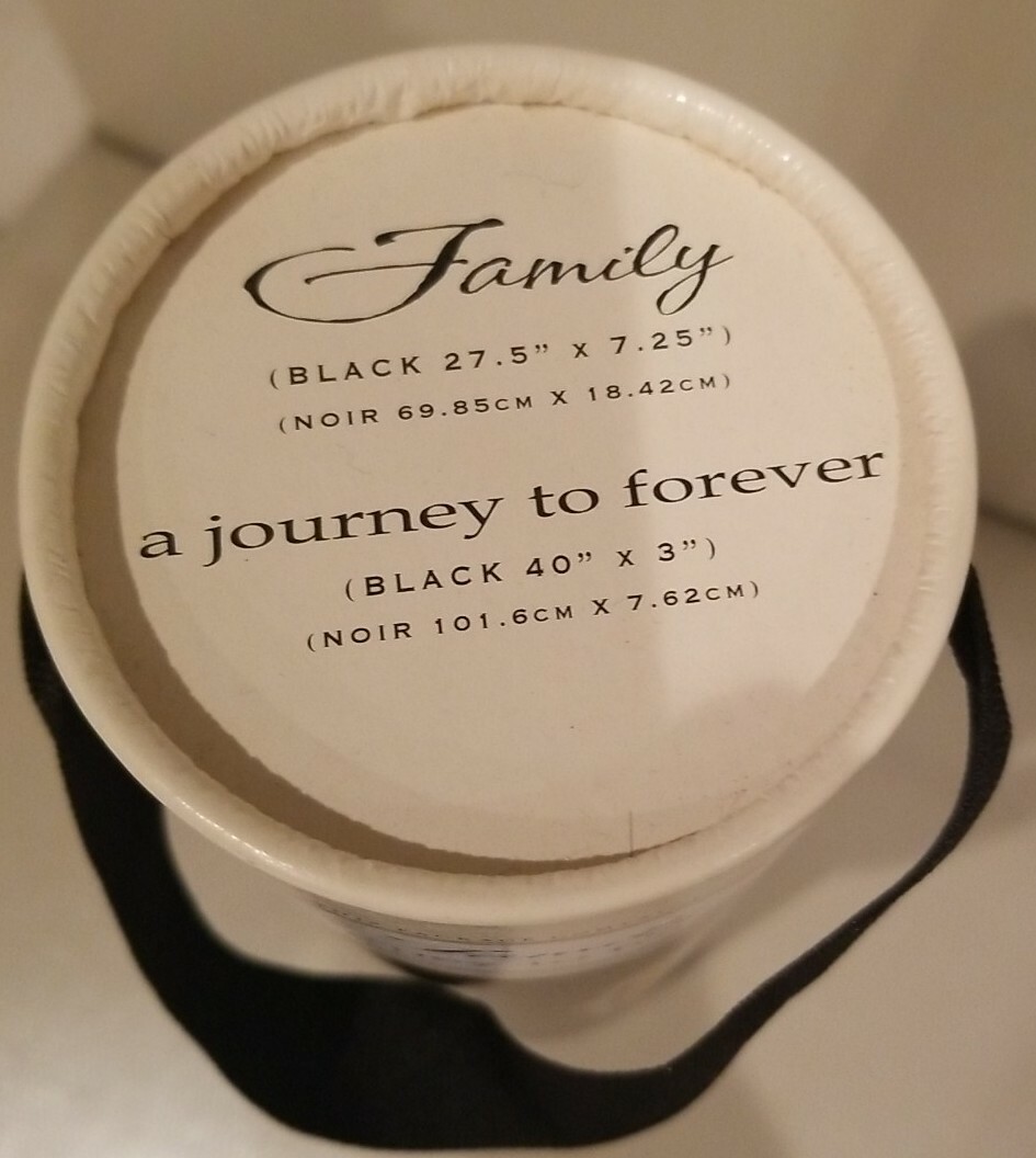 DCWV Home Vinyl Wall Quotes ~ Removable Lettering Decal ~ Family Forever