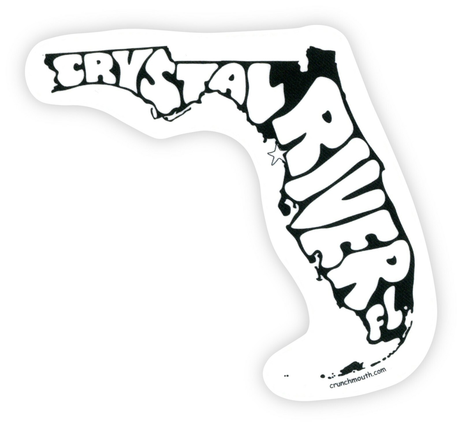 CRYSTAL RIVER FLORIDA TRAVEL DECAL BUMPER STICKER RETRO VINTAGE