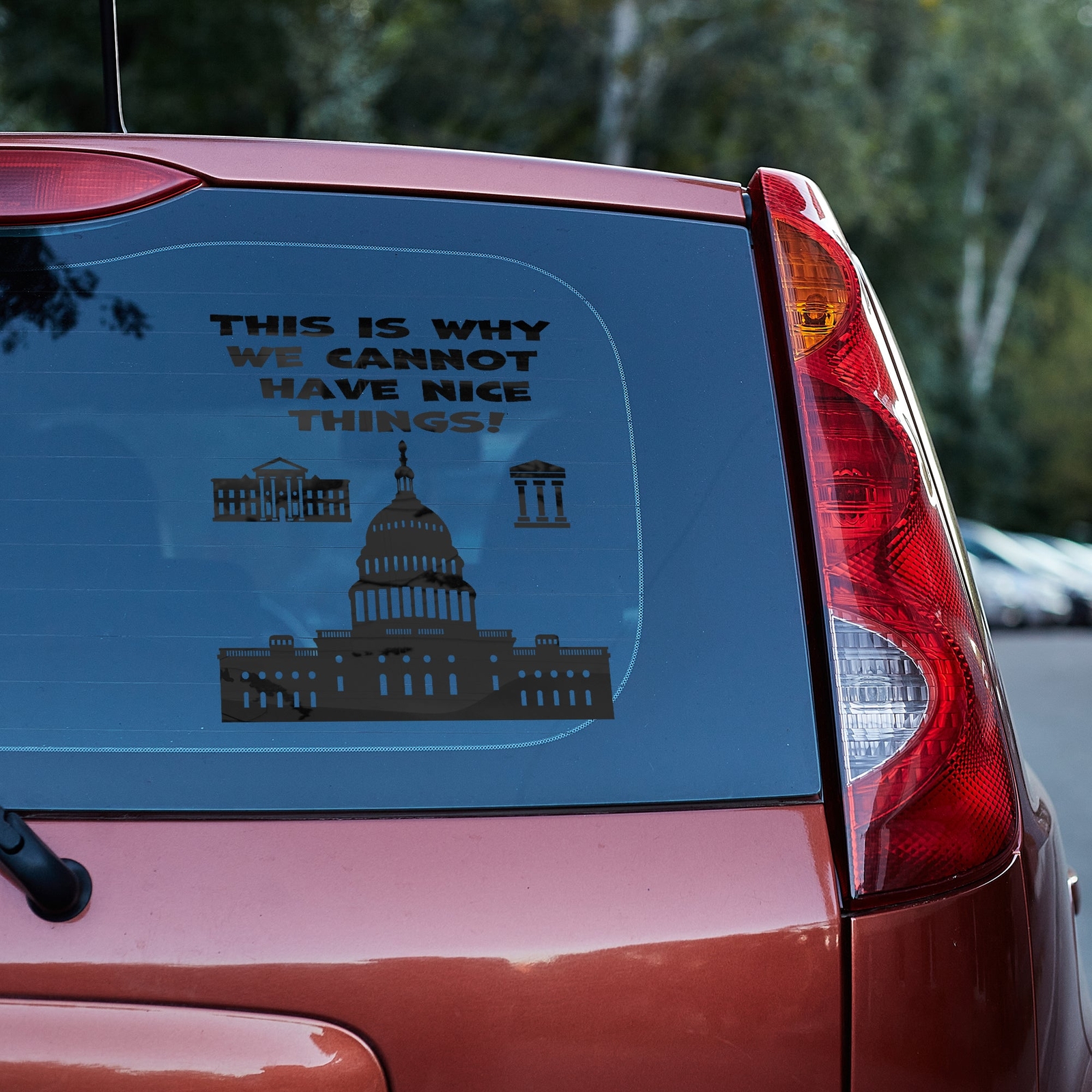 This is why we cannot have nice things Vinyl decal anti government funny
