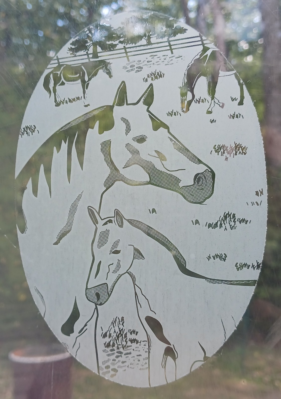 Horses Window Decal 4"x6" OVAL Etched Glass Look Cling Removable & Reusable 62