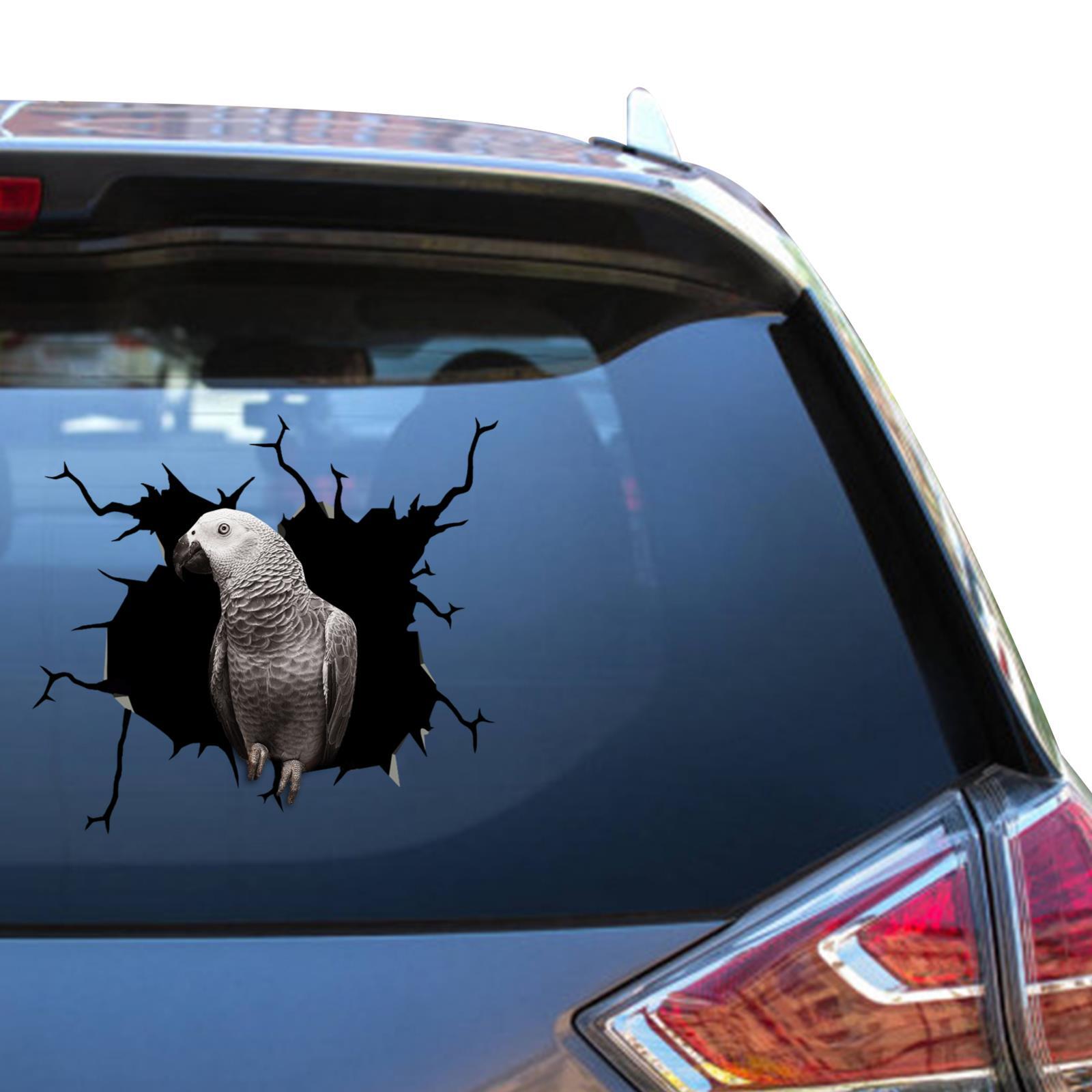 African Grey Parrot Gifts Parrot Wall Stickers Kawaii Vinyl Cars Truck Stickers