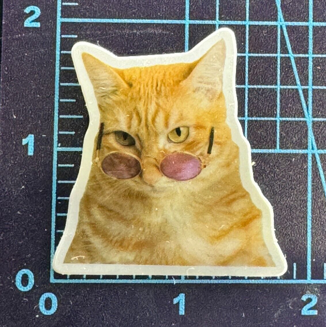Rose Colored Glasses on the CAT ! – Vinyl Sticker Decal Sticker Bomb Macho Cat
