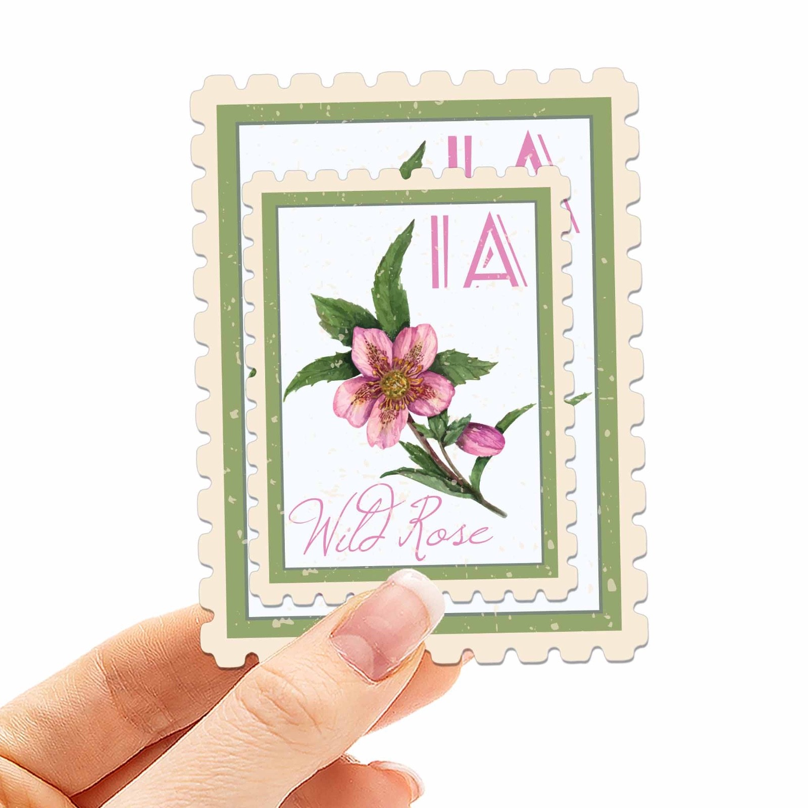 Iowa State Flower Wild Rose Sticker – IA Vintage Stamp Decal for Laptop, Thermos