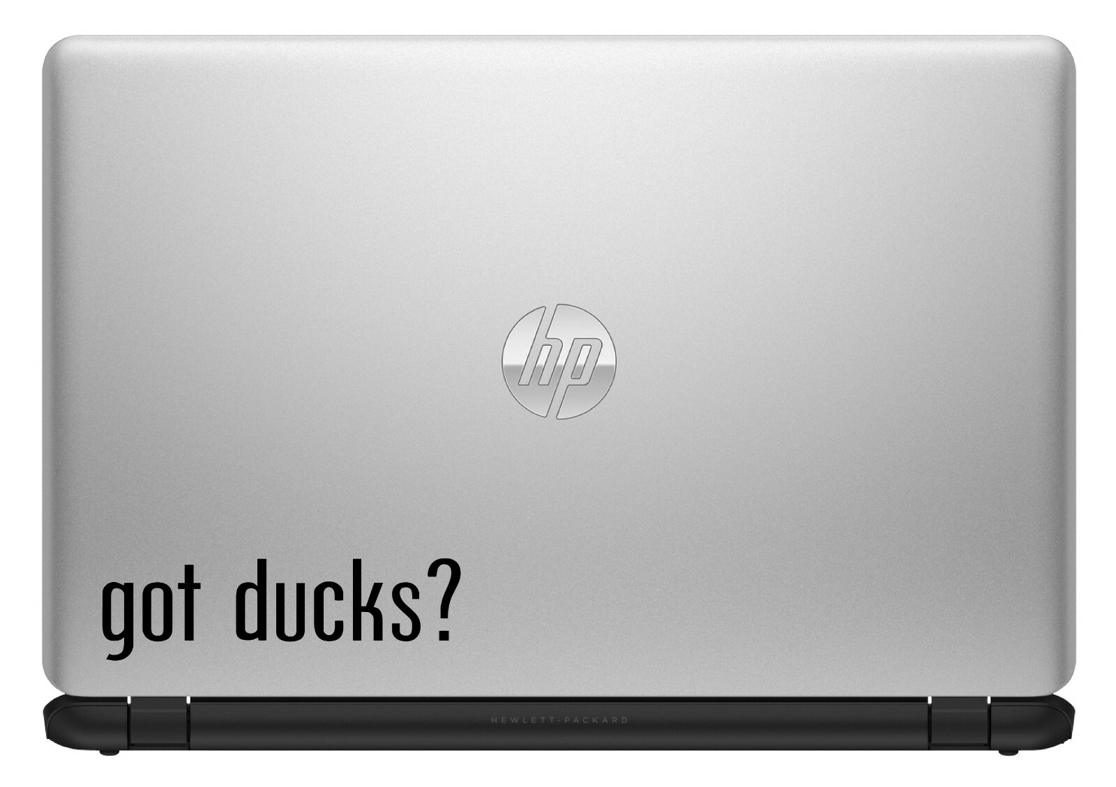 Got Ducks? Custom Vinyl Sticker / Decal Wildlife, Hunting, Waterfowl, Nature