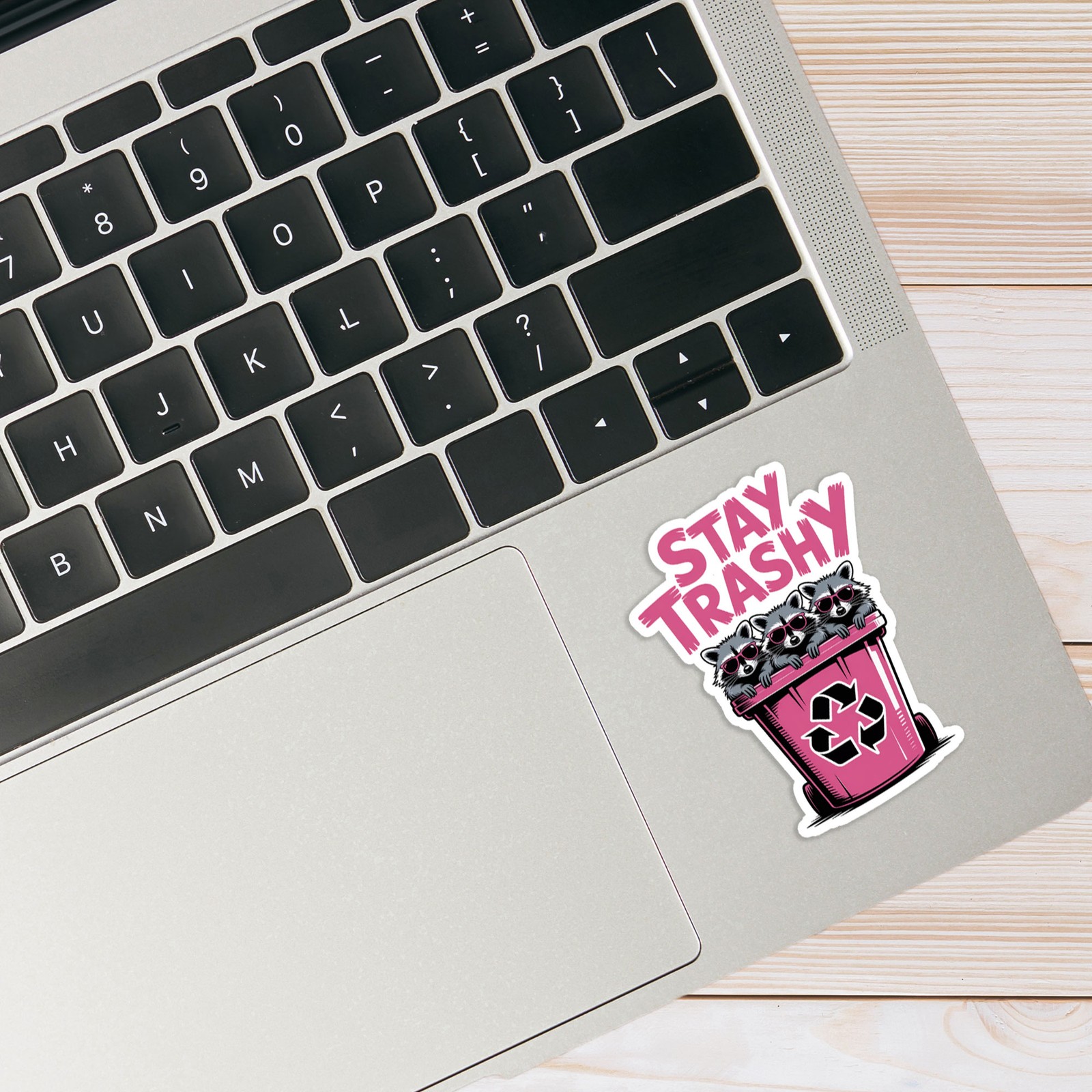 Stay Trashy Trash Can – Vinyl Decal Sticker – Car Window Laptop – #1741
