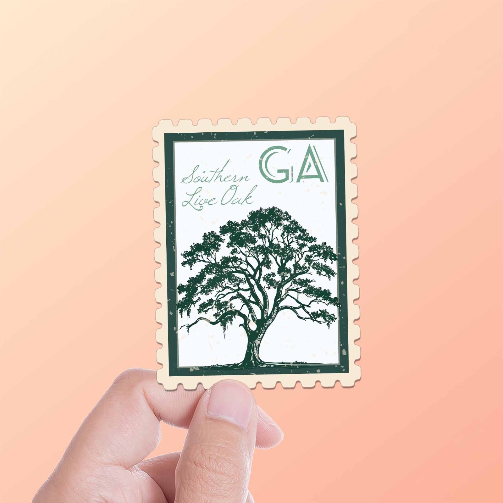 Georgia State Tree Southern Live Oak Sticker- GA Vintage Stamp Decal