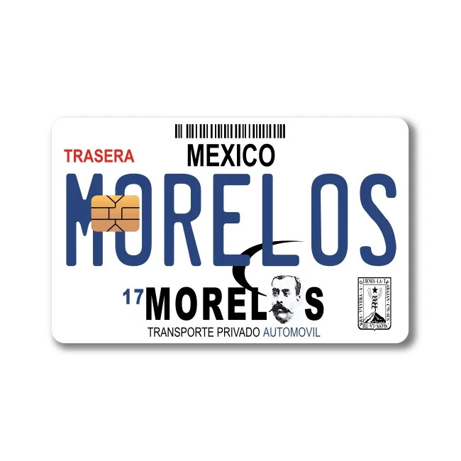 Mexican License Plate Sticker (4-Pack) | CHOOSE STATE | Mexico Placa Card Skin D
