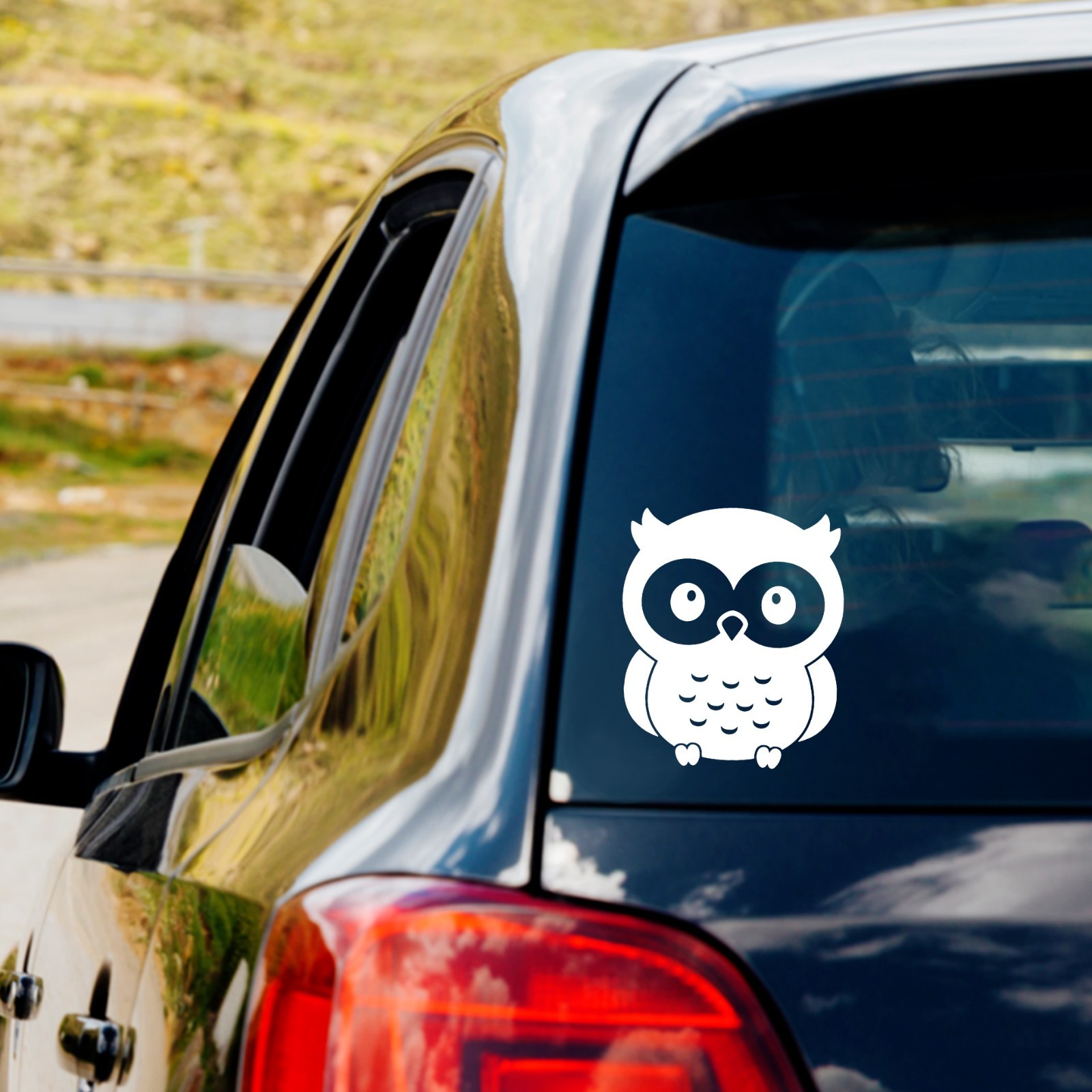 Cute Owl Vinyl Decal Sticker Car Truck Window Laptop Water bottle Wildlife