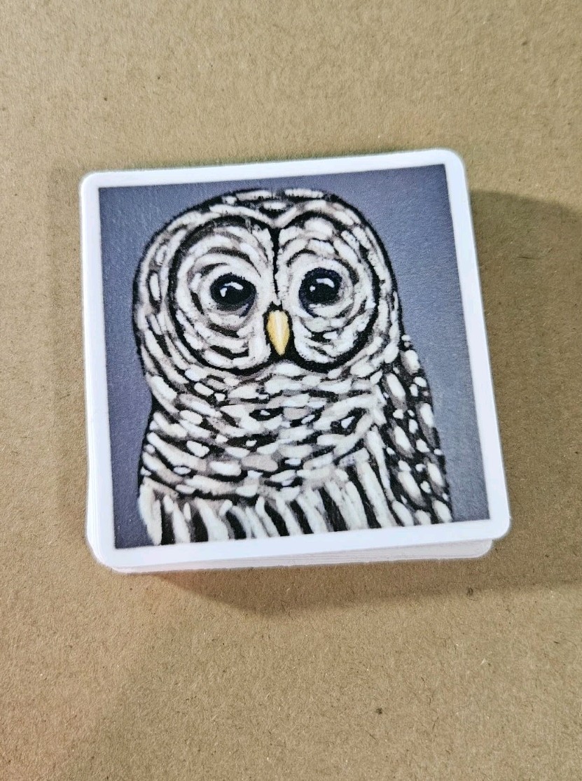 Owl Sticker Matte Vinyl, Original Art, 2.5" Square Sticker of Barred Owl Art
