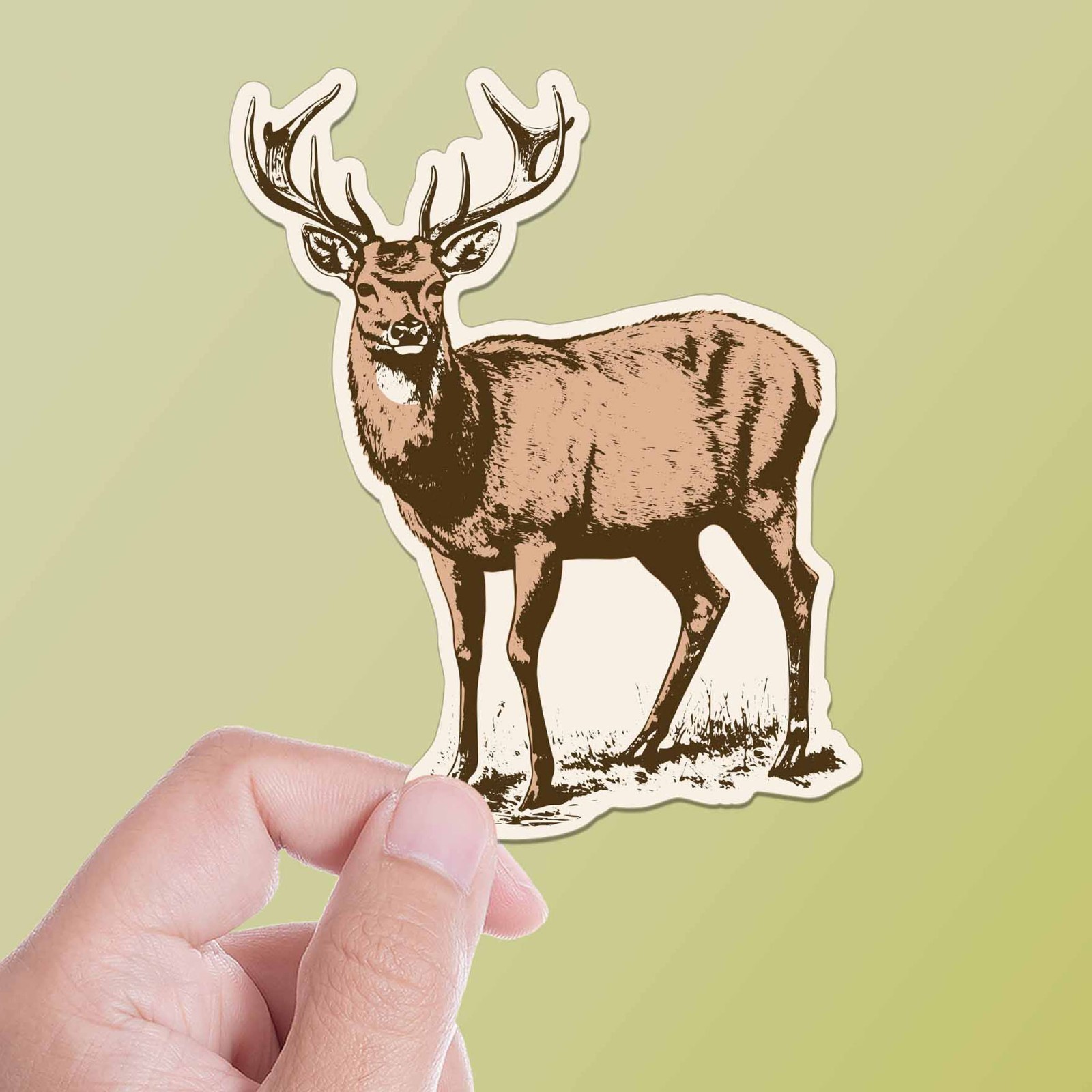 Whitetail Deer Bumper Sticker – Cool Nature Decal for Water Bottle & Laptop