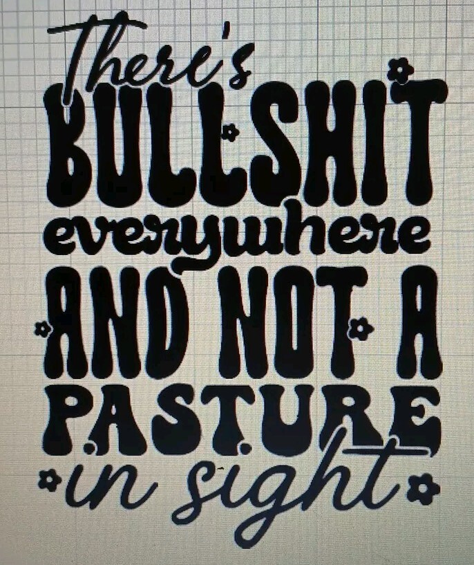 Theres Bulls*it Everywhere And Not A Pasture In Sight Decal