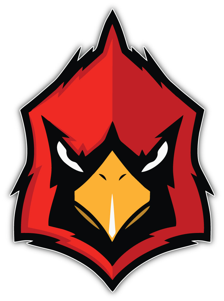 St. Louis Cardinals MLB Baseball Sport Logo Car Bumper Sticker Decal "SIZES"