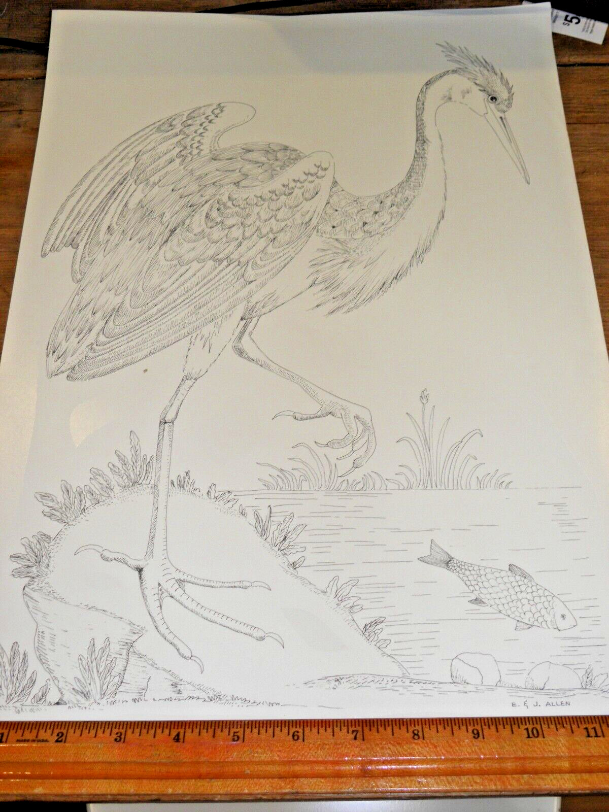 NEW 11” x 16” Window Decal – Wading Bird / Egret / Heron – Print by E & J Allen