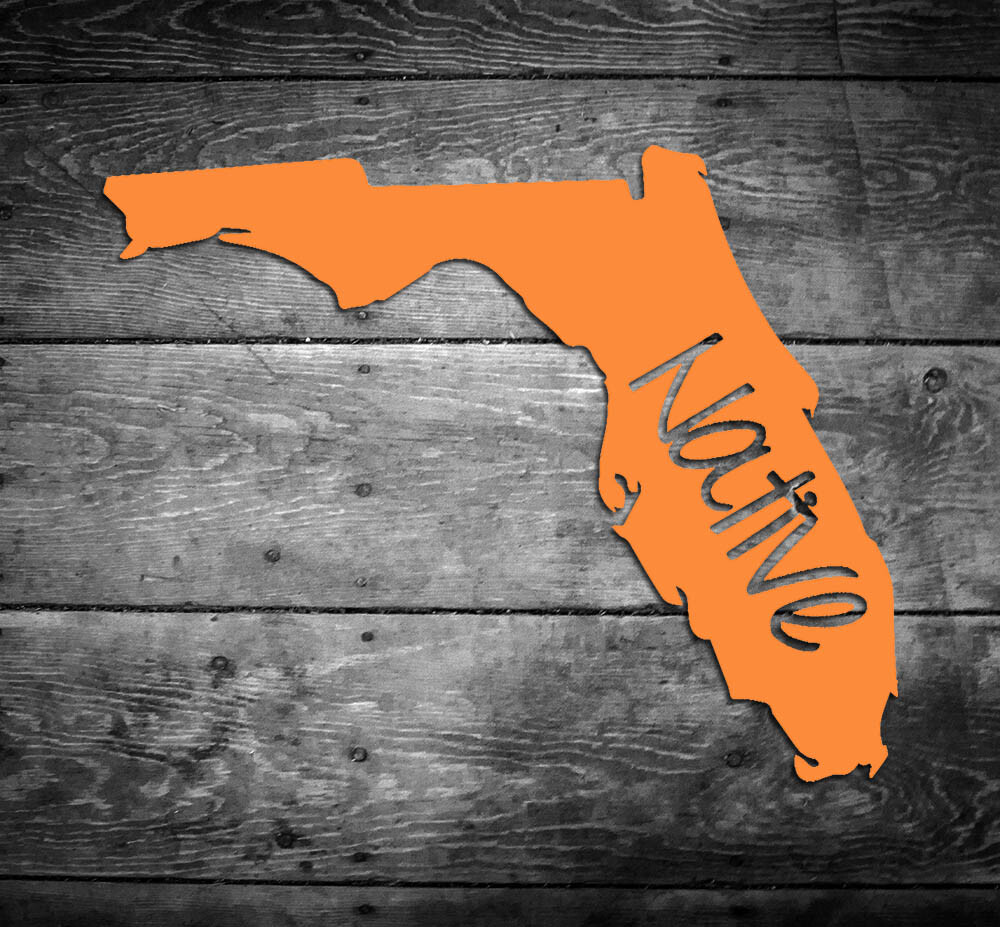 Florida Native Vinyl Sticker Car Window Door Bumper Decal Pride Home FL
