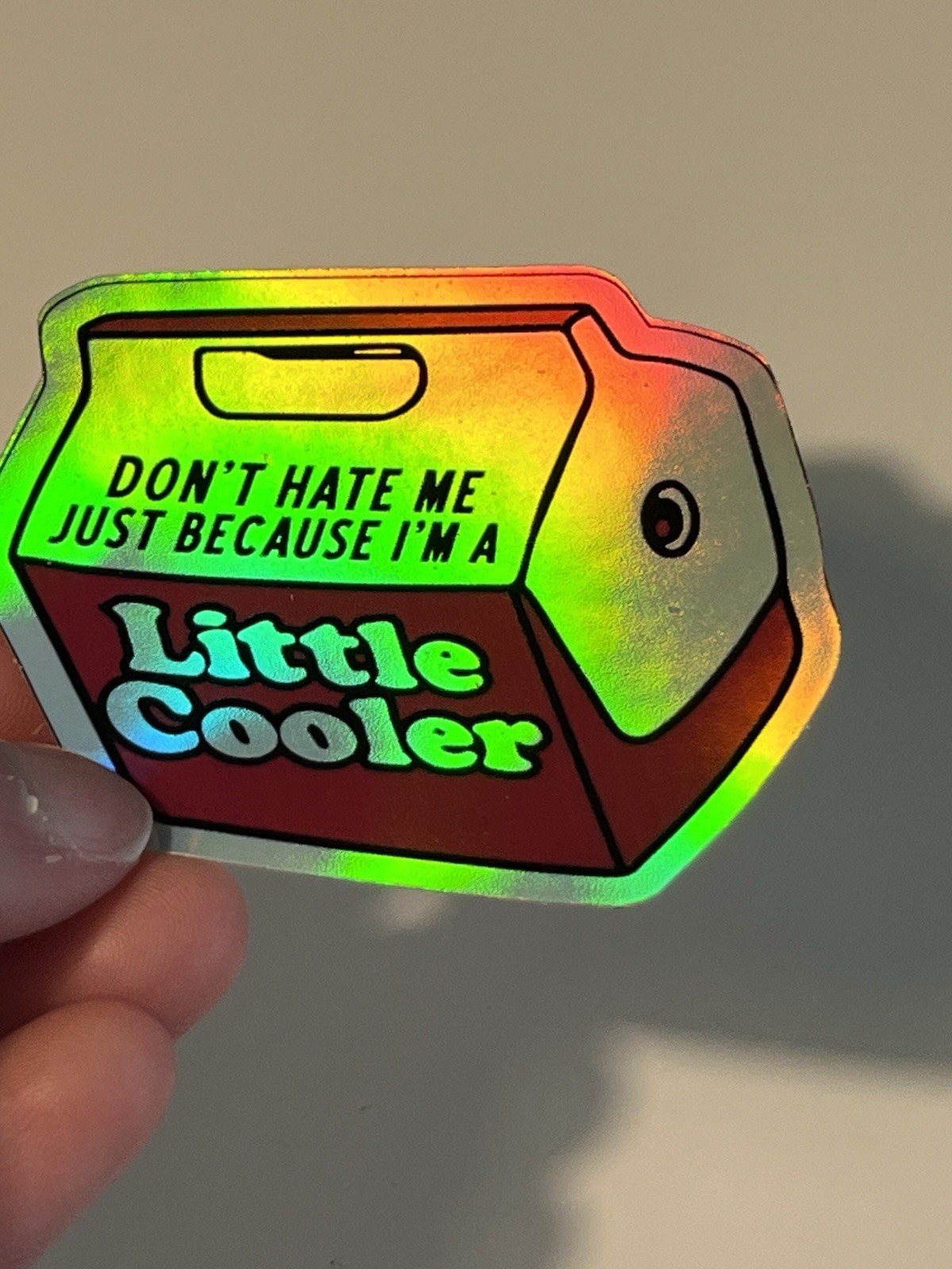Don't Hate Me Little Cooler 3 Inch Funny Humor Holographic Waterproof Sticker