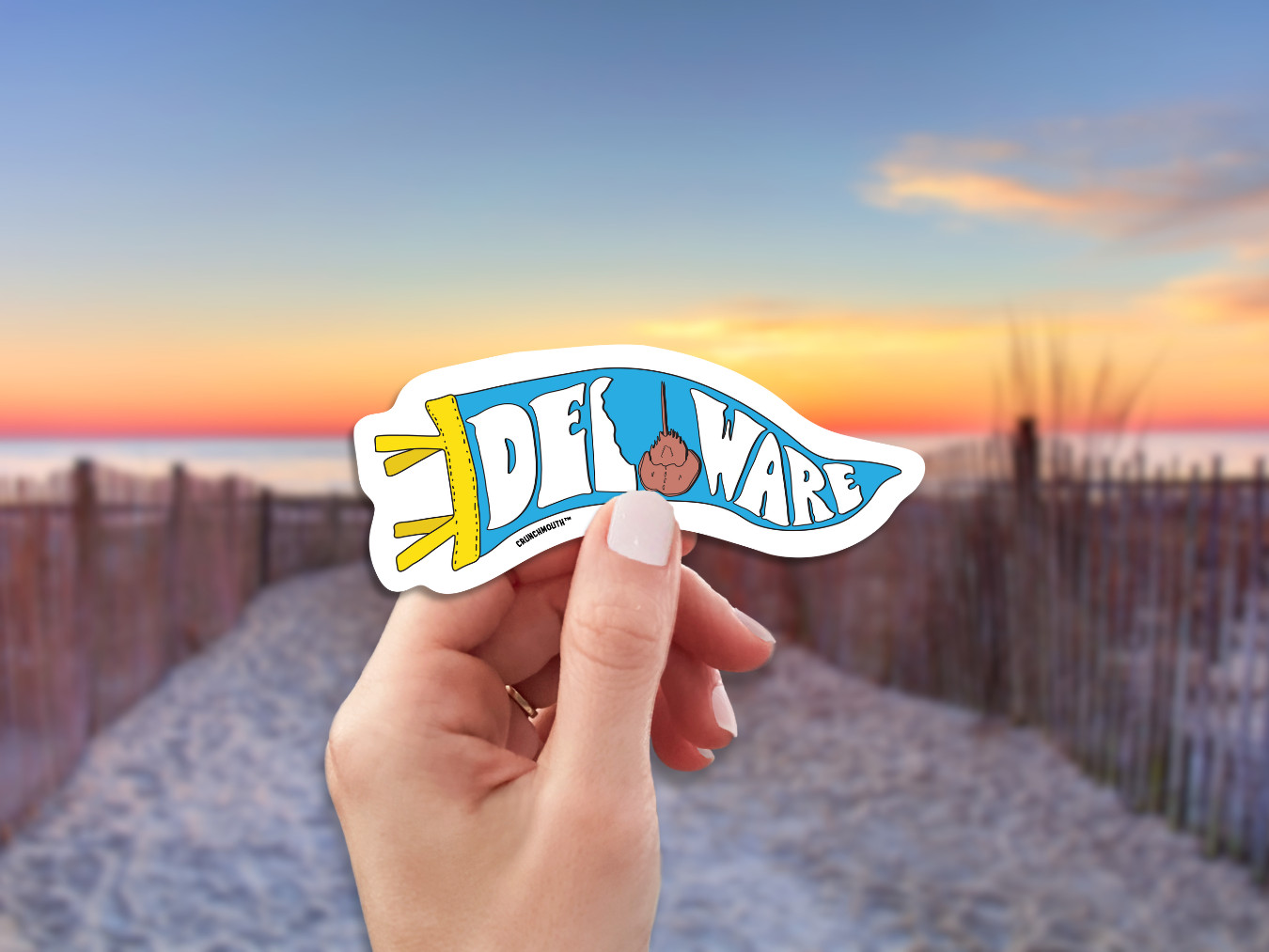 DELAWARE STATE PENNANT BANNER STICKER TRAVEL DECAL