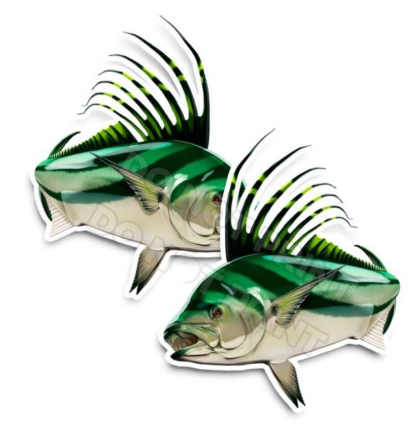 Roosterfis Decals Fish Stickers Vinyl Tackle Box Giant Sea Perch – Set of 2 #203
