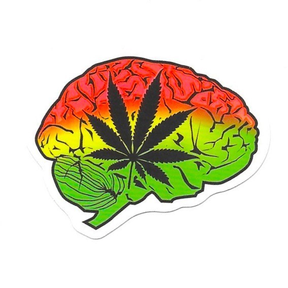 Cannabis Brain Vinyl Sticker Weed Rasta Pot Stoner Gift Laptop Journal Art Sign