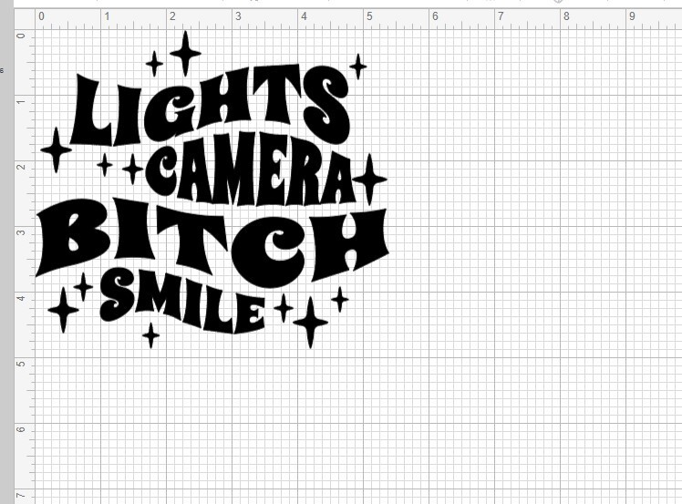 Lights, Camera, Bitch, Smile Taylor Swift Computer/Car/Cup Vinyl Decal 5×5