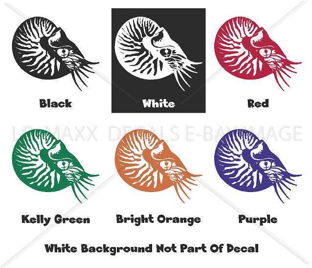 Nautilus Sea Life Contemporary Art Nature Ocean Die Cut Vinyl Decal Sticker