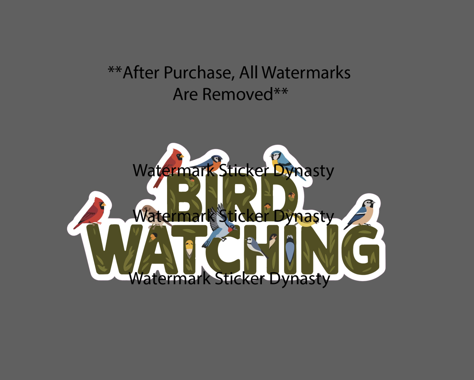 Bird Watching Sticker Waterproof Decal Birds Nature Wildlife Travel Gift NEW