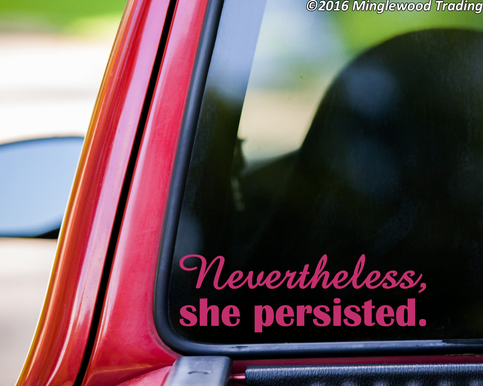 NEVERTHELESS SHE PERSISTED Vinyl Sticker – Elizabeth Warren Resist Die Cut Decal