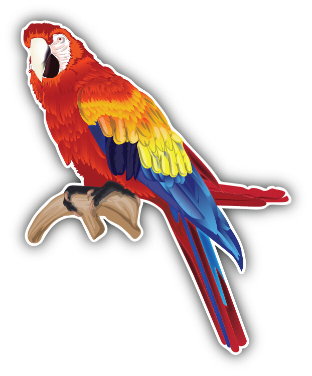 Macaw Parrot Car Bumper Sticker Decal