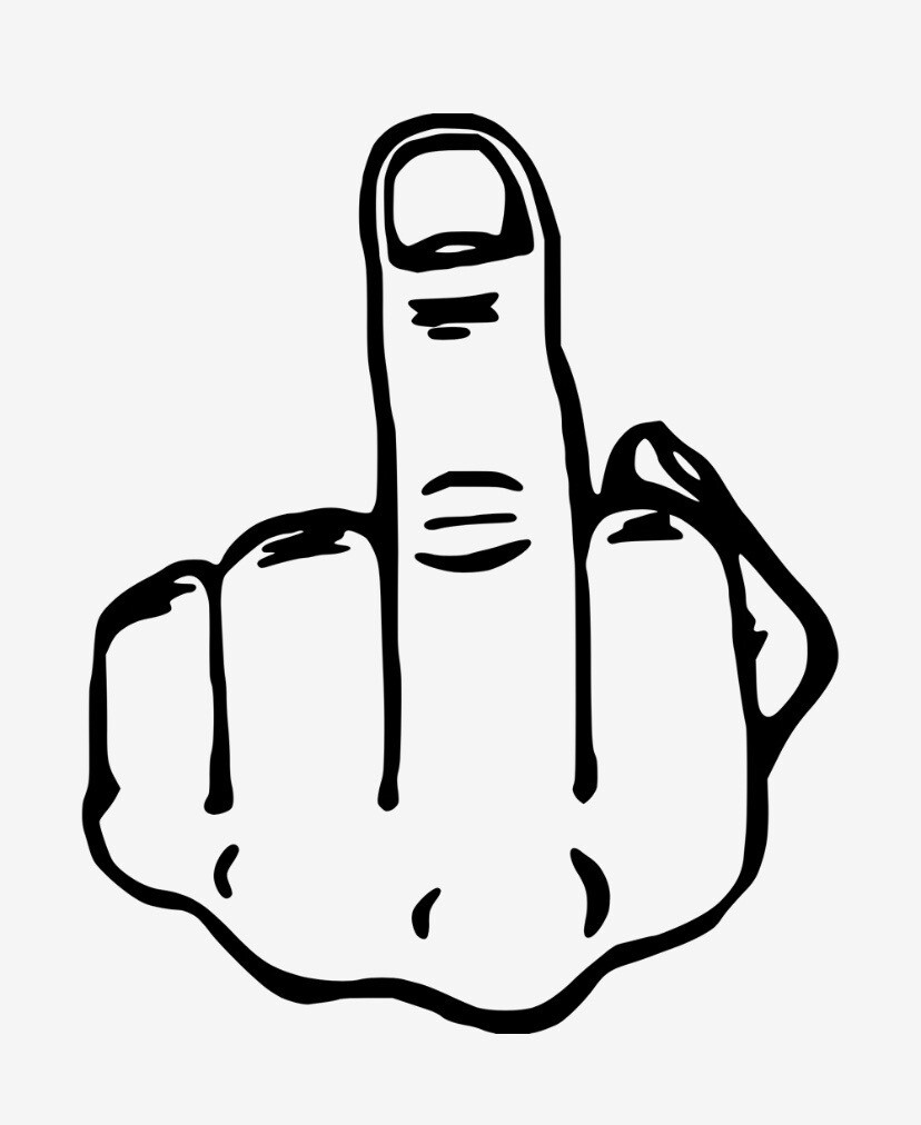 MIDDLE FINGER FLIP OFF VINYL DECAL STICKER WINDOW WALL CAR BUMPER LAPTOP FUNNY