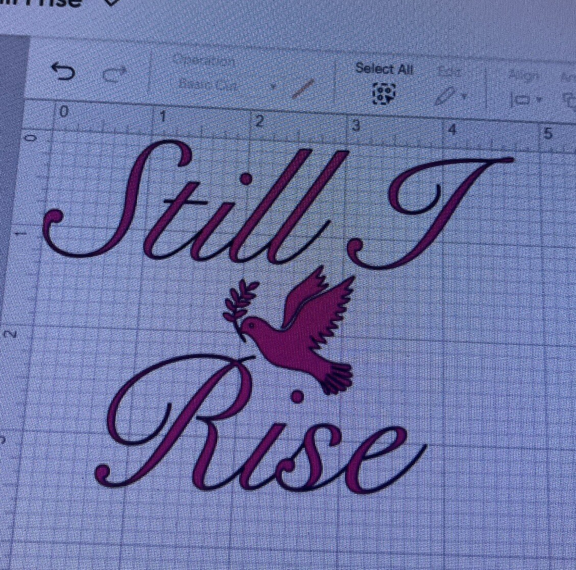 “Still I Rise” Strong Inspirational Decal Sticker 5×4” For Wall, Car Vinyl