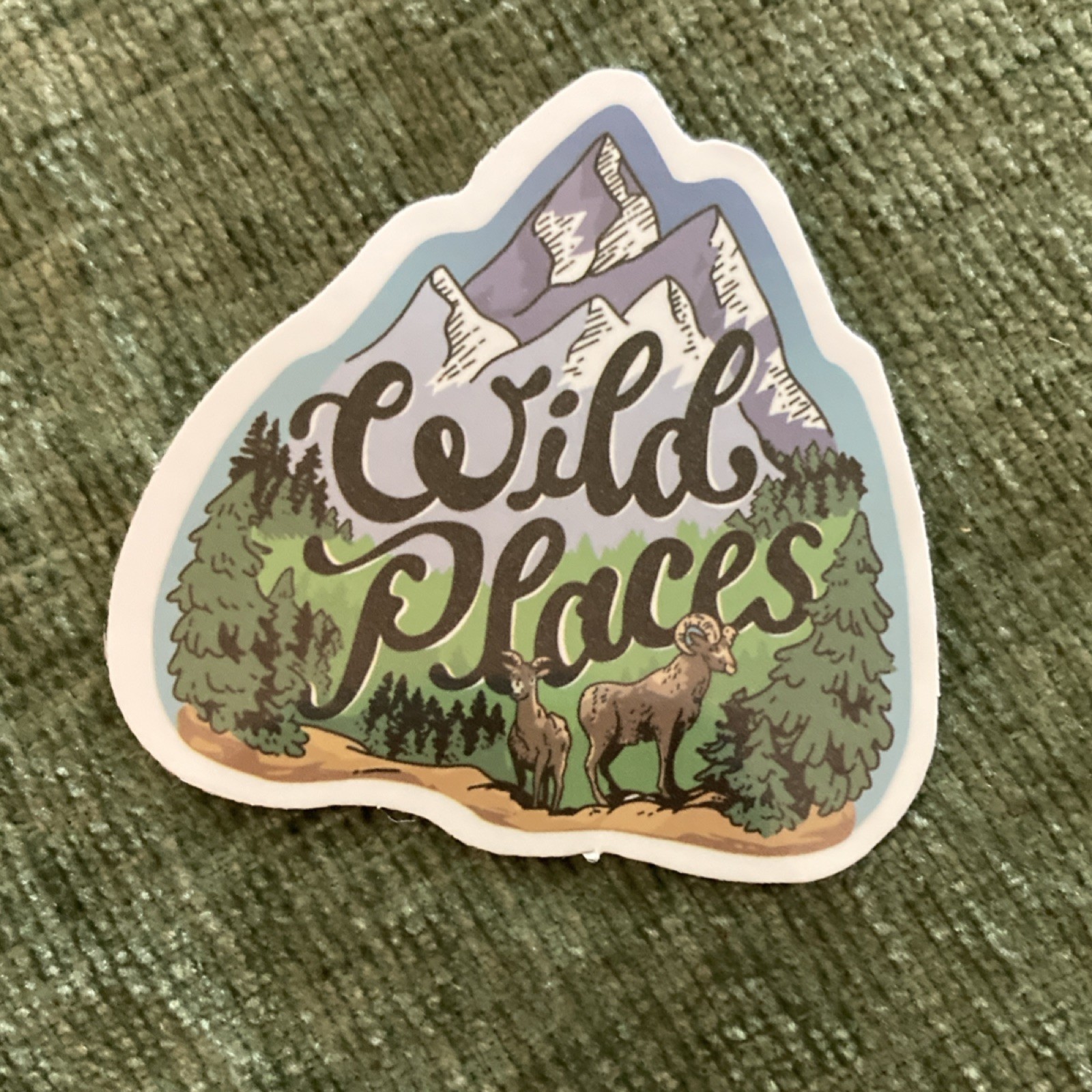 6 Multicolor Vinyl Stickers Set, Camping Adventure Nature Theme, Water Resistant
