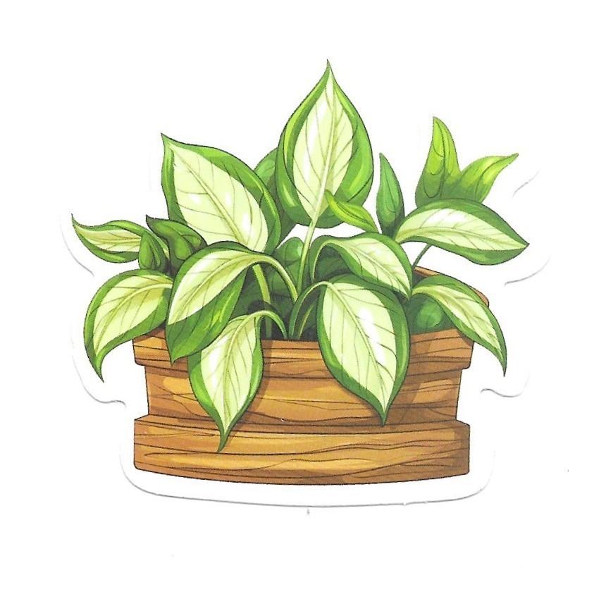 Variegated Hosta Vinyl Sticker Die Cut Houseplant Journal Laptop Planner Decor