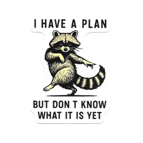 Raccoon I Have A Plan Vinyl Sticker Funny Trash Panda Sarcastic Humor Cute
