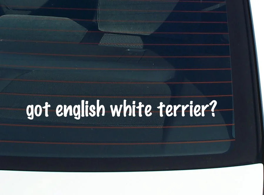 got english white terrier? CAR DECAL BUMPER STICKER VINYL FUNNY JOKE WINDOW