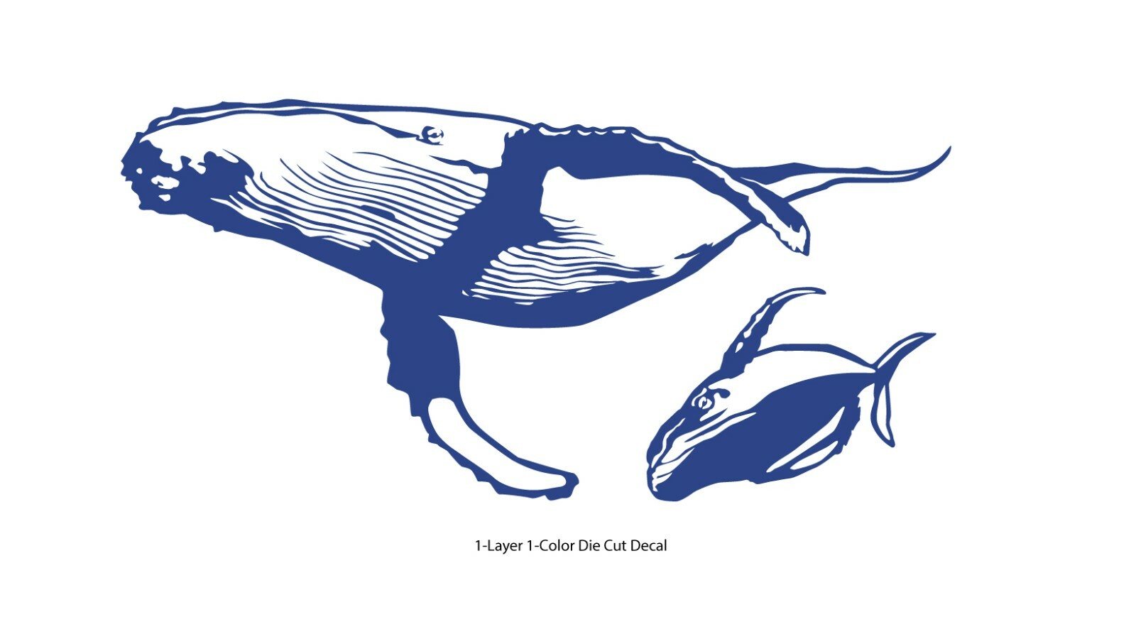 Sea life – Ocean Gray Whale 1 Outdoor Window Decal Vinyl Sticker 6Yrs Film