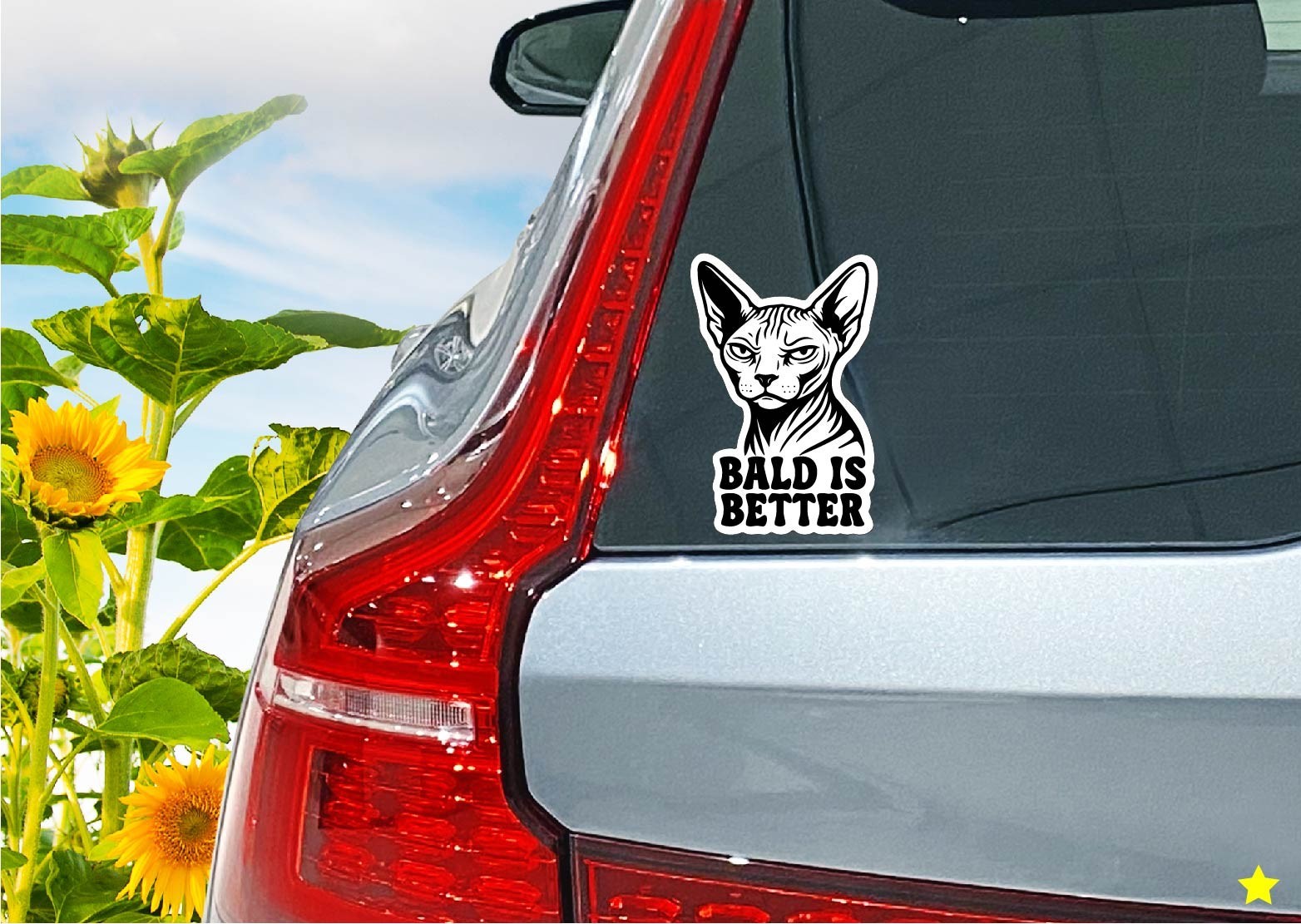 Sphynx Cat Decal Sticker Bald is Better Hairless Kitty Skin Meow Kids Gift Decor