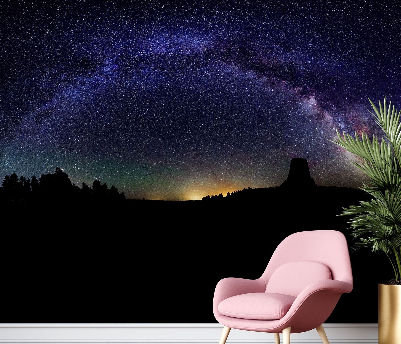 Milky Way Galaxy Stars Wall Mural. Starry Night Over Devils Tower National Monum