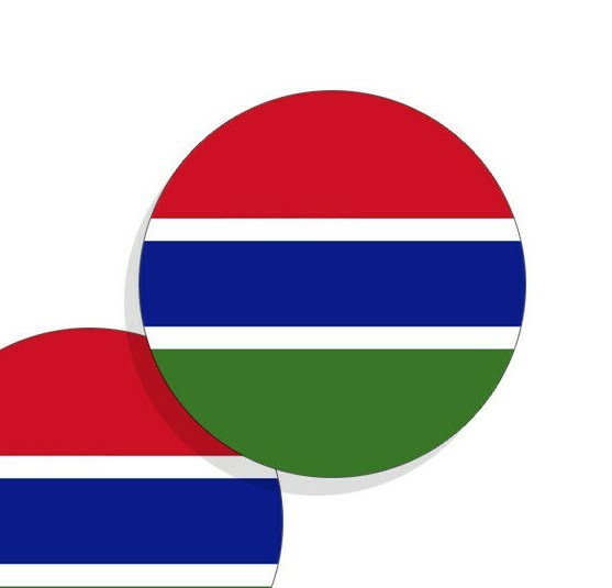 The Gambia Flag Stickers Flag Decals Round Indoor Outdoor Circles 4 pack