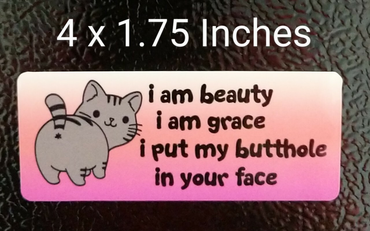 Beauty Grace Butt in Your Face Cat Decal 4 x 1.75" Kitty Humor Pet Lover Sticker