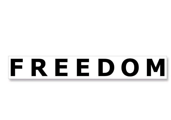 FREEDOM Vinyl Decal Sticker Die Cut weatherproof Charlie Kirk Patriotism USA 2.0
