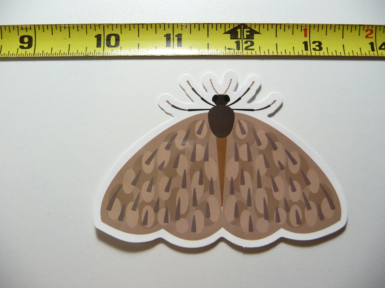 MOTH #6 SMALL STICKER DECAL BUG INSECT FUN FUNNY