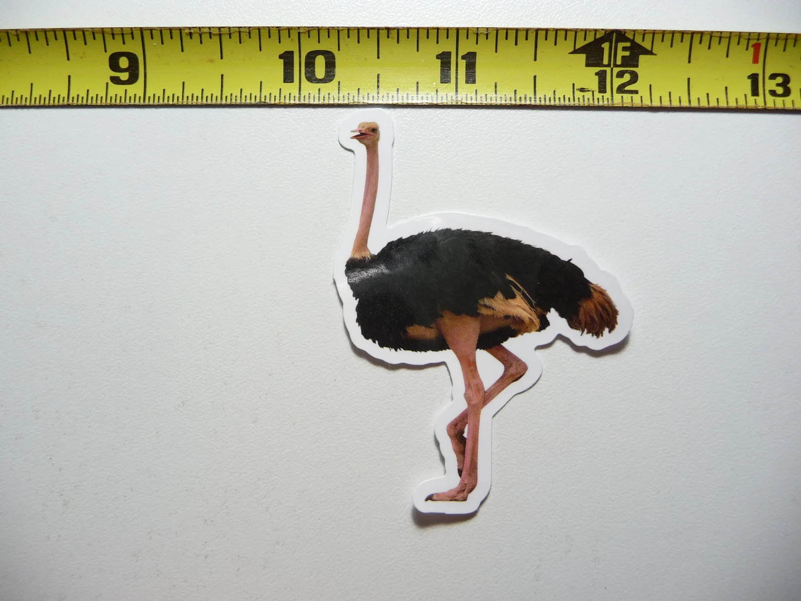 OSTRICH PRANCING BIRD SMALL STICKER DECAL WILDLIFE PRESERVE NATURE ANIMAL